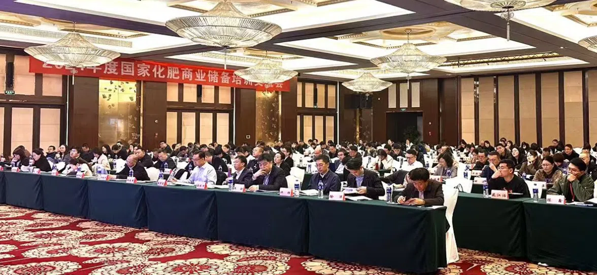 1732020491182062562.png QQ图片20241119204636.png