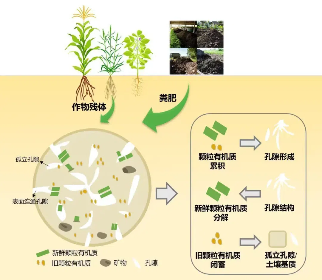 1759110431686027858.png 微信图片_20250929094644_40_2.png